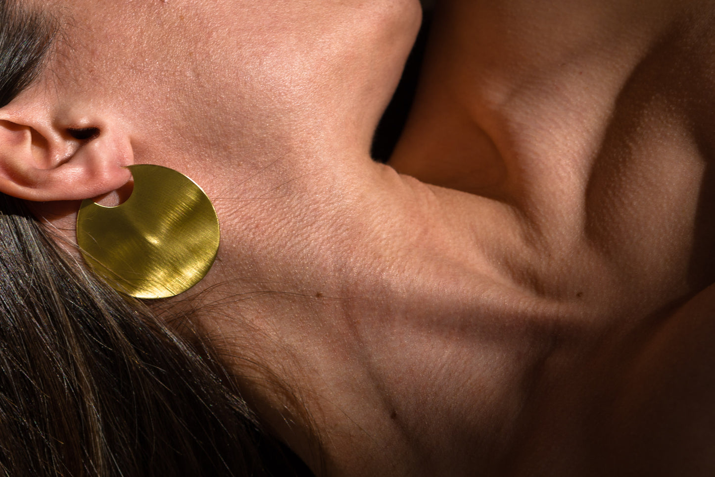 discus earrings