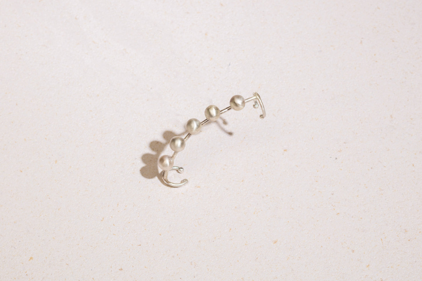 hippocampus