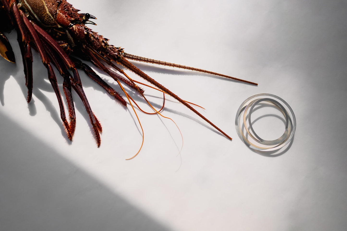 cosmos bracelet